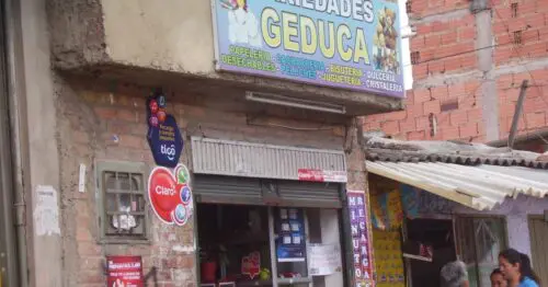 VARIEDADES GEDUCA VARIEDADES GEDUCA
